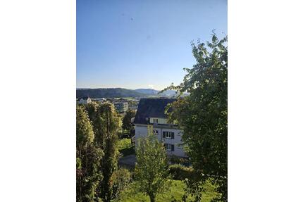 Renovierte, zentrale 1-Zi. Whg. mit schöner Aussicht über Waldshut - Waldshut-Tiengen