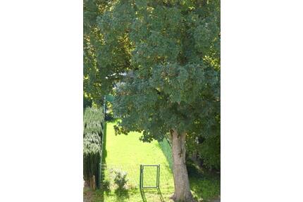 repräsentatives Stadthaus in Citylage von Hilden