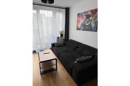 2 Zimmer Wohnung Pappelallee Berlin Voll ausgestattet