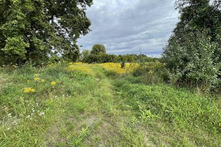 Große Baufläche (12.888 m²) für Bauträger und Investoren in Briesen in Bahnhofsnähe