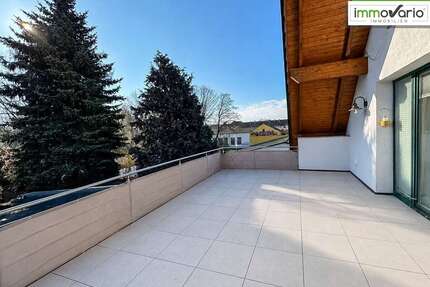 Wohnung zum Mieten in Magdeburg Diesdorf 1.100,00 € 120 m² - Magdeburg / Diesdorf