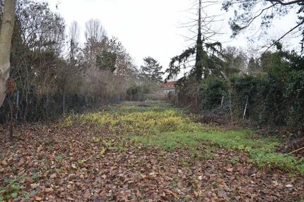 Unbebautes Grundstück Garten zu vermieten - Magdeburg Lemsdorf