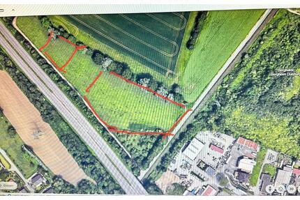 Grünland Heuwiese Landwirtschaftliche Fläche - Duisburg Rheinhausen