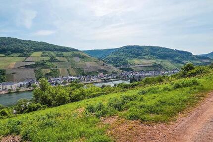 Gerodetes Grundstück mit Blick auf die Mosel - Zell (Mosel)