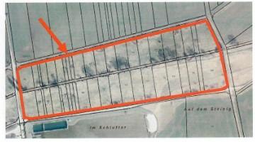 Flächen zur Heugewinnung - 2.150,00&nbsp;EUR Kaltmiete, ca.&nbsp; 0,00&nbsp;m&sup2; in Amt Wachsenburg (PLZ: 99334)