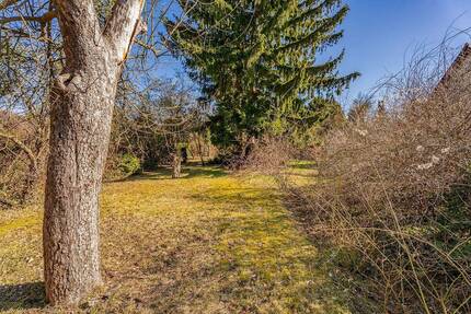 Teilgrundstück in zweiter Reihe nahe Heinrich-Laehr-Park - Berlin Zehlendorf