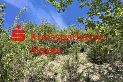 Grundstück zu verkaufen in Mayen 125.000,00 € 807 m²