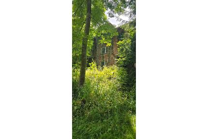 Ehemaliges Bahnwärterhaus in ruhige Naturlage- Sanierungsprojekt - Neunburg vorm Wald