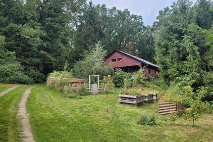 Holzhaus für Naturliebhaber oder Ferienhaus - Tosterglope
