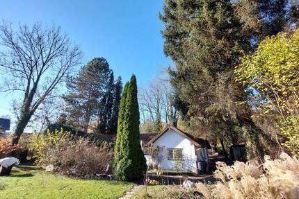 Sonniges Grundstück mit Bungalow Altbestand * Neubau 2Vollgeschosse EFH freistehend - Gauting