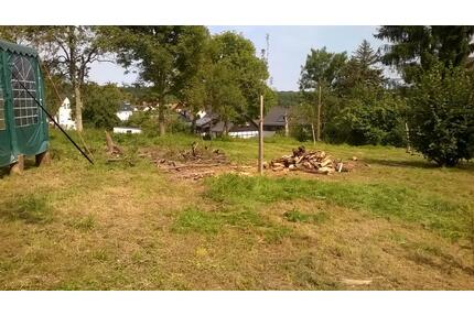 großes Grundstück für Tinyhaus im Westerwald 250€ im Monat - Altenkirchen (Westerwald)