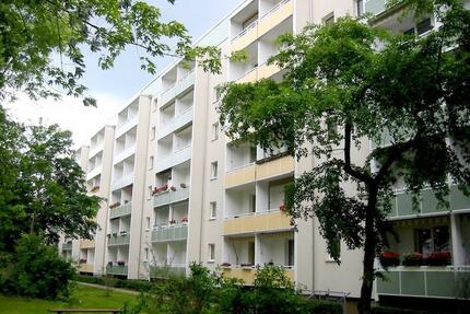 Schöne helle 2-Raumwohnung mit Nähe zum Bördepark - Magdeburg Lemsdorf