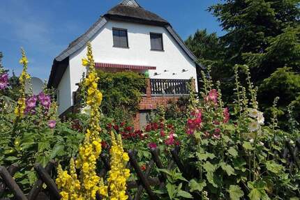 Inselfeeling pur - idyllisches Reetdachhaus mit 2 zusätzlichen Ferienwohnungen, Sauna & Nebengelass zwischen Bodden & Ostsee - Insel Hiddensee / Kloster Kloster, Hiddensee