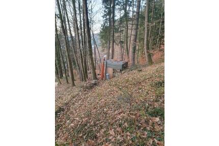 Waldgrundstück Rodalben - 4.760,00&nbsp;EUR Kaltmiete, ca.&nbsp; 0,00&nbsp;m&sup2; in Rodalben (PLZ: 66976)