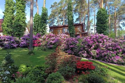 Ferienhaus & Sauna Arendsee f. 2 Pers. direkt am See - Arendsee (Altmark)