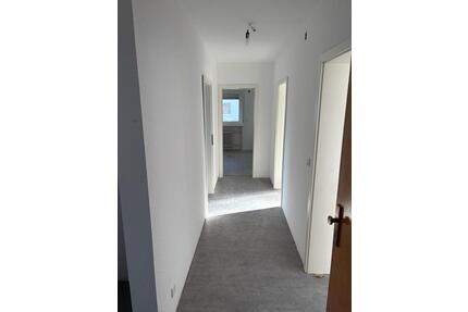 Attraktive, frisch kersanierte 3- Zimmerwohnung in Wörrstadt