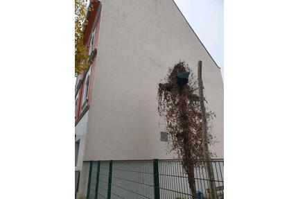 Haus Top Lage, Zentral mit Garagen, Hallen, ideal für Gewerbe - Hagen Hagen-Mitte