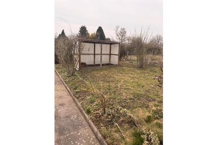 Garten mit Haus & Obstbäumen in Schwedt (Oder) – VB