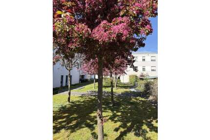 Wohnung zum Kaufen in Manching 349.000,00 € 75 m²