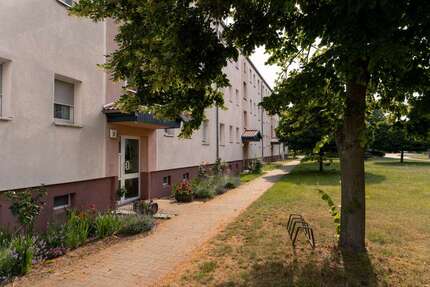 Wohnung zum Mieten in Kleinau 300,00 € 58.46 m²