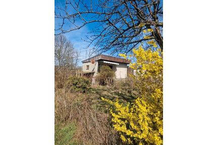 *ANFRAGESTOPP*„Projekt Garten – für jemanden mit Herz & Ideen