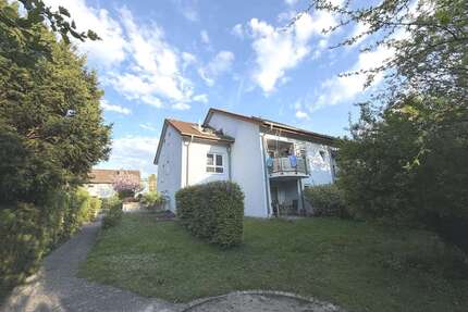 Wohnung zum Kaufen in Freiburg 330.000,00 € 63.7 m²