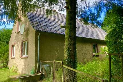 Haus zum Kaufen in Gribow 120.000,00 € 149 m²