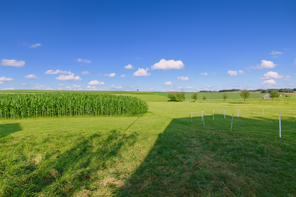 Grundstück zu verkaufen in Freising 595.000,00 € 703 m²