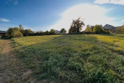 Zwei Wiesen a 299€ im Jahr zu verpachten - Gönnheim