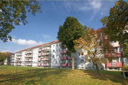 Wohnung zum Mieten in Plauen 226,38 € 42 m²