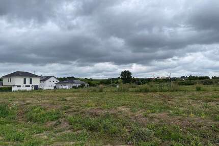 Grundstück zu verkaufen in Hillesheim 160.950,00 € 435 m²