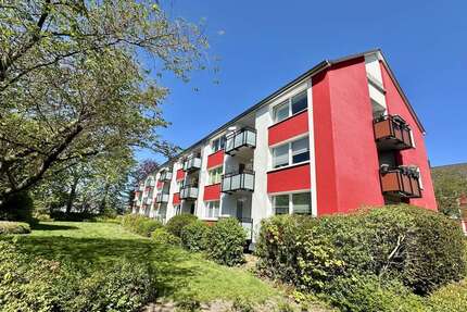 Wohnung zum Mieten in Rellingen 650,00 € 36 m²