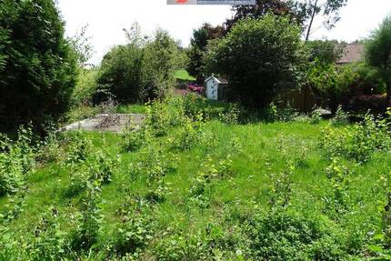 Einmalige Gelegenheit: großes frei stehendes Einfamilienhaus, welcher auch also Zweifamilien- oder Mehrgenerationenhaus genutzt werden kann (das Haus - Bad Säckingen Rippolingen