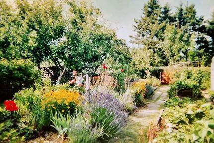 Kleingarten Pachtgarten in Jena