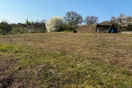 Garten zu verpachten - 60,00&nbsp;EUR Kaltmiete, ca.&nbsp; 0,00&nbsp;m&sup2; in Hohberg (PLZ: 77749)