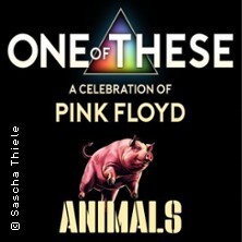 One Of These A celebration of Pink Floyd - Animals Tour