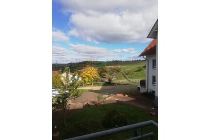 Schöne, helle 2 Zimmer mit Balkon und Einbauküche in Niederkirchen