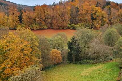 Wohnung zum Kaufen in Bad Herrenalb 199.000,00 € 100 m²