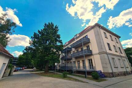 Wohnung zum Mieten in Pirna 450,00 € 54.31 m²