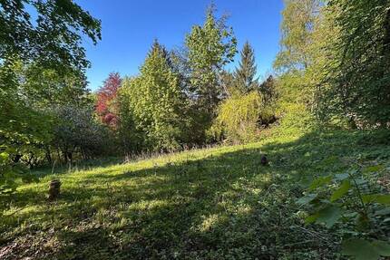COBURG-FESTUNGSBERG, Freizeitgrundstück mit massivem Gartenhaus