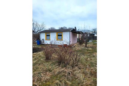 Kleingarten Schrebergarten Garten - Chemnitz Altchemnitz