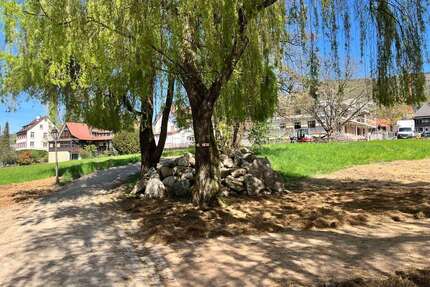 Wohnung zum Kaufen in Sasbachwalden 220.000,00 € 55 m²