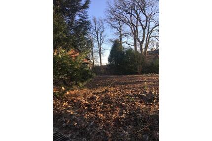 3 Parzellen, Grundstück für Tiny House Modulhäuser zu vermieten - Wasbek