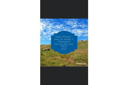 Ferienwohnung „Unter den Linden „ Ostfriesland - Westoverledingen