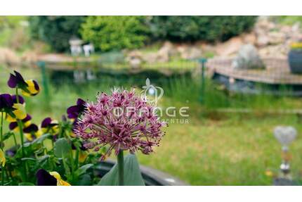 ***Haus mit zwei Wohneinheiten, großem Garten, Teich und vielen Extras*** - Tensfeld