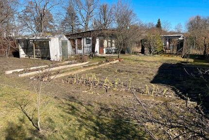 Kleingarten mit Wasseranschluss - Cottbus Spremberger Vorstadt
