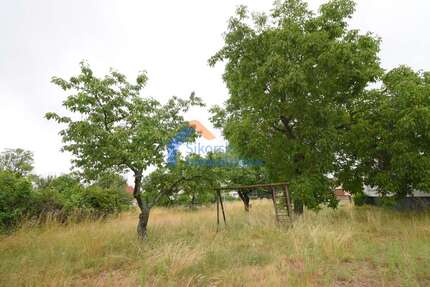 Grundstück zu verkaufen in Fünfeichen 50.000,00 € 581 m²