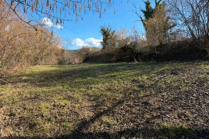 GartenStrebersgarten - 59,00&nbsp;EUR Kaltmiete, ca.&nbsp; 0,00&nbsp;m&sup2; in Friesenheim (PLZ: 77948)