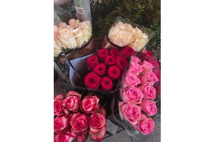 Wohnung zu vermieten - 750,00&nbsp;EUR Kaltmiete, ca.&nbsp; 50,00&nbsp;m&sup2; in Hannover (PLZ: 30159)