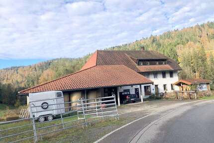 Haus zum Kaufen in Todtmoos Todtmoos Au 459.000,00 € 162 m² - Todtmoos / Todtmoos Au